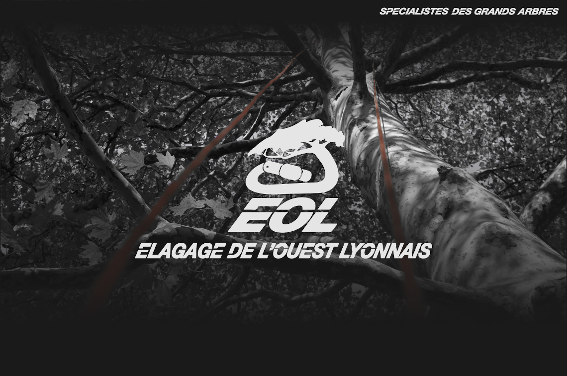 Élagage de l'Ouest Lyonnais