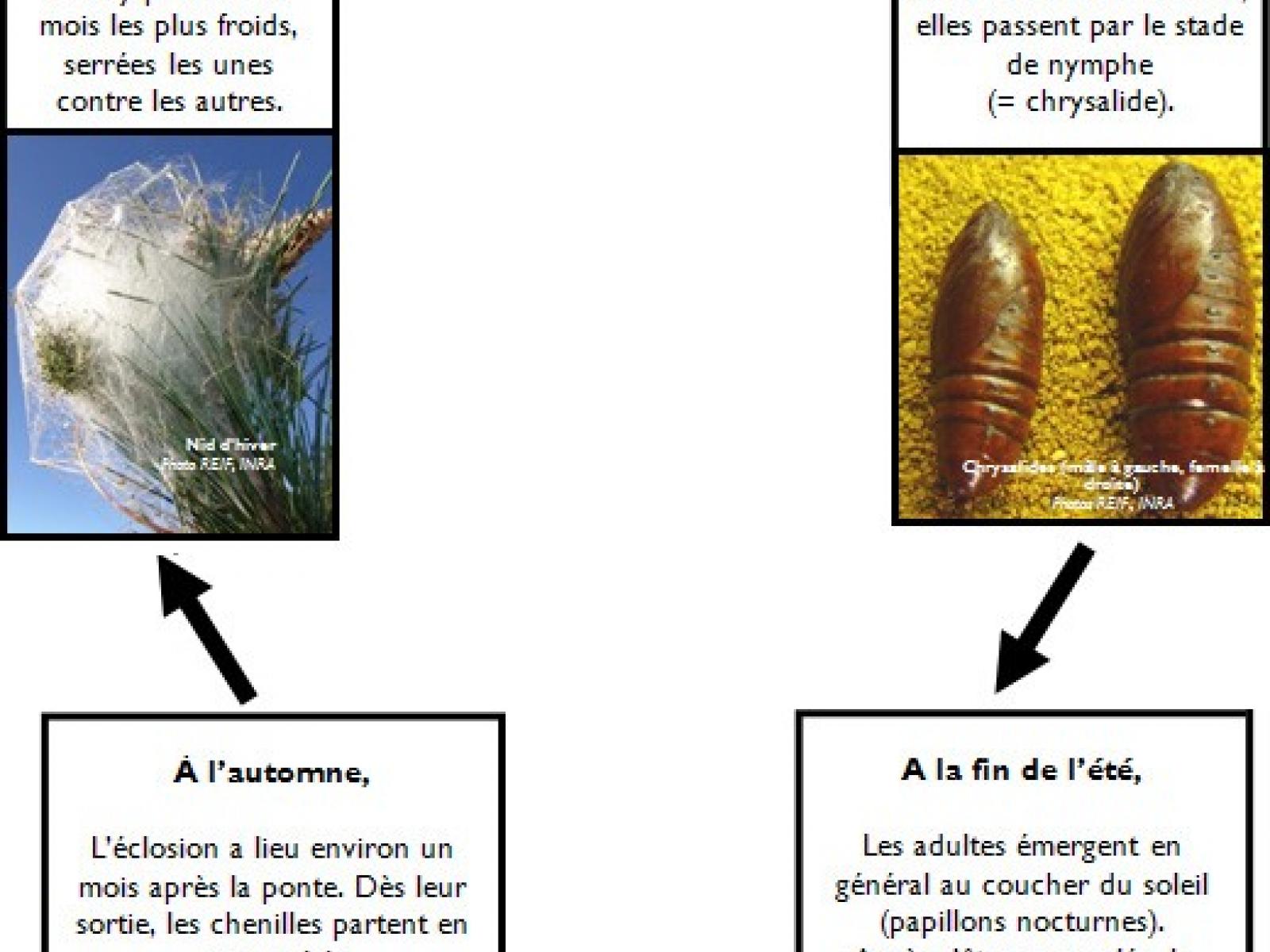 Texte alternatif slideshow